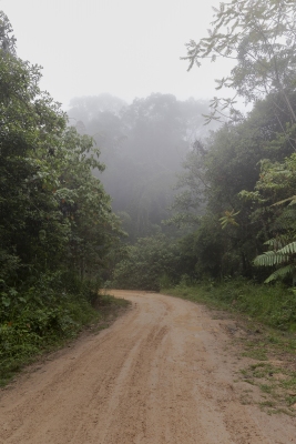 Reaching the “Insectos Por La Paz” facility in the Tolima region.