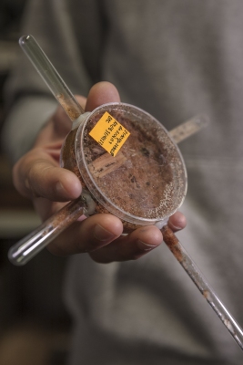 Dr. Dupont, Research Engineer at CNRS (Centre National de la Recherche Scientifique) showing his termites experiments.