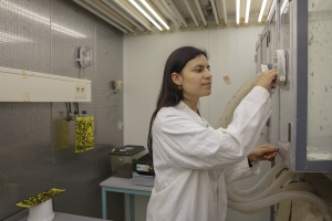 A researcher running a Black Soldier Fly nutrition trial at Wageningen University.