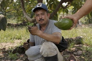 A former FARC-EP combatant that proudly cultivates his avocados using insect farming by-products as biofertilizer.